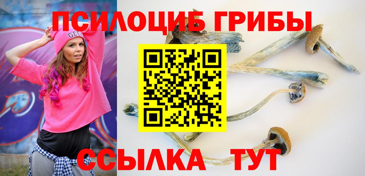 где продают   Галлюциногенные грибы ЛСД  Верхний Уфалей  Вход с VPN  Псилоцибиновые грибы мицелий 